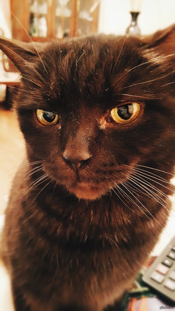 ������� ����� :)