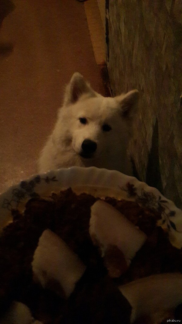 � ����� � ���� ������ ���� ��������