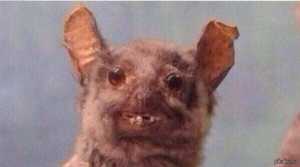 ��� �, ����� ���������� � ��������