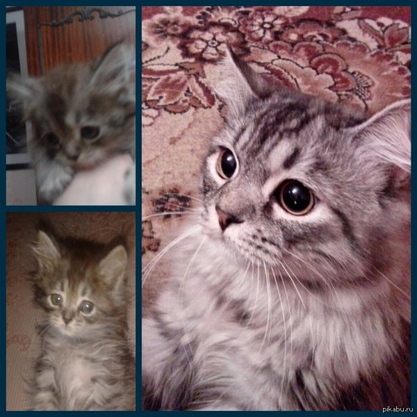 ��� ��� �������,� �� ��� ��� �����...)