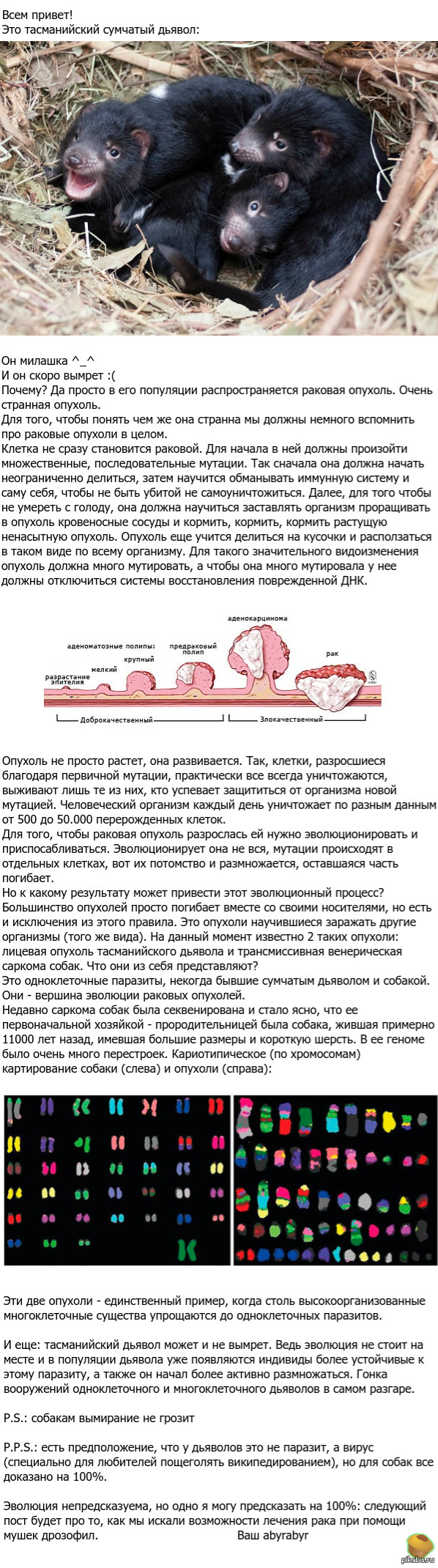 Паразиты: истории из жизни, советы, новости, юмор и картинки — Лучшее |  Пикабу