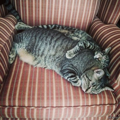 ����� � ����