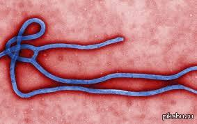 А про неё уже все забыли?