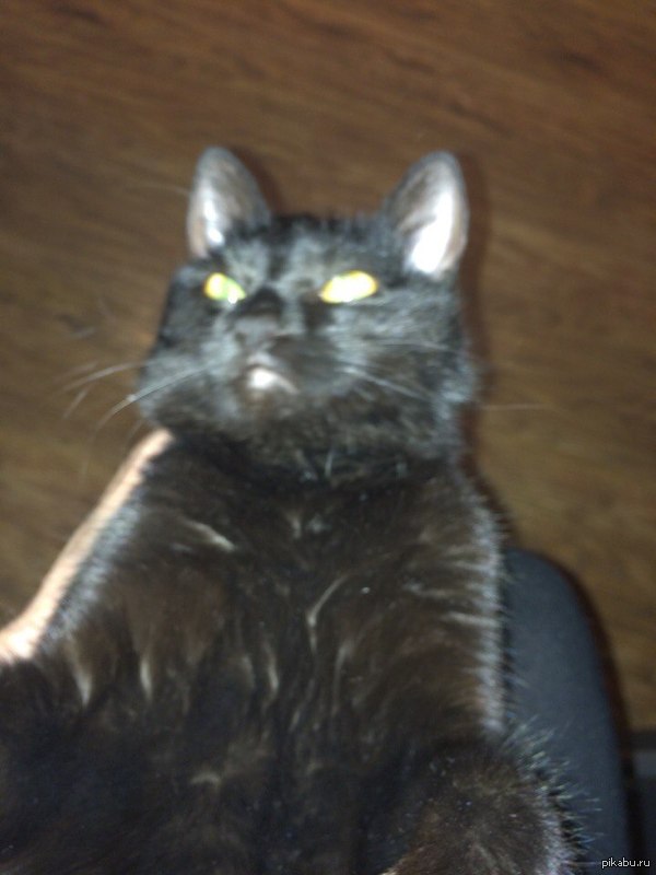 ������ � ���� �� ��������.