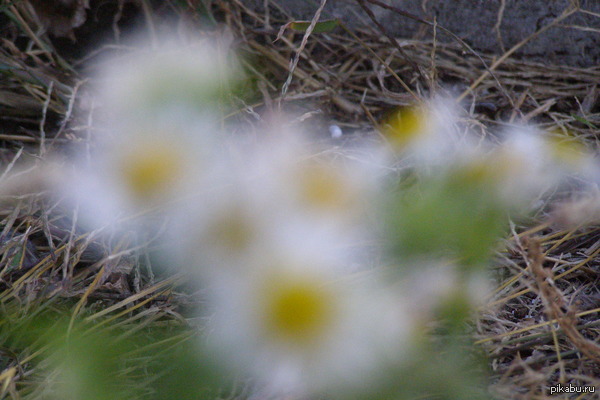 �������� �� ����