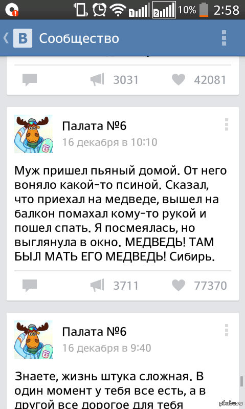 Медведь о-О | Пикабу