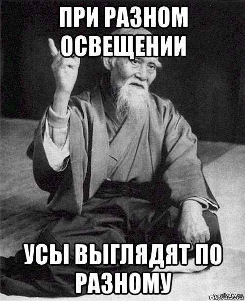  !   -_-