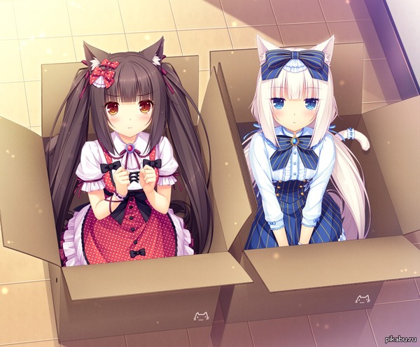      ^_^ VN - neko para.     