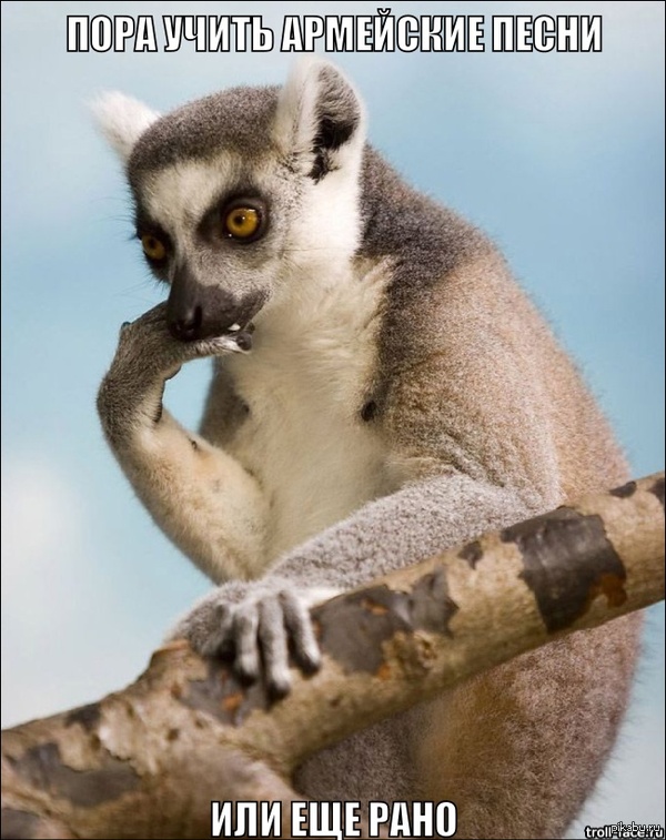 ��������� 5 ����, �������� �������������