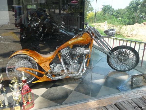 ���� ���������� � ���� ������ ����� ��������