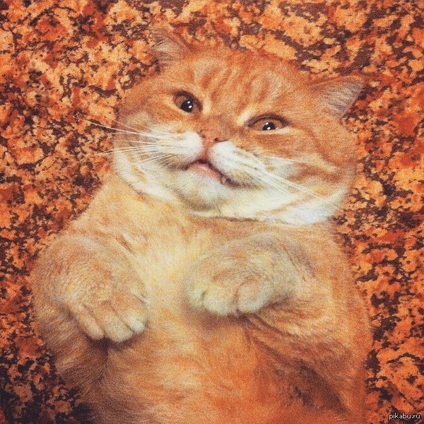 ������ � ���������