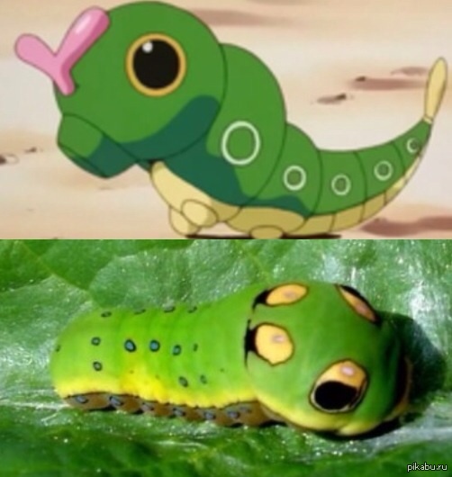 Он существует !)