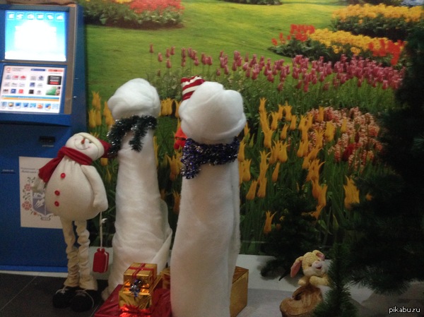 �������� � ��� ��������...