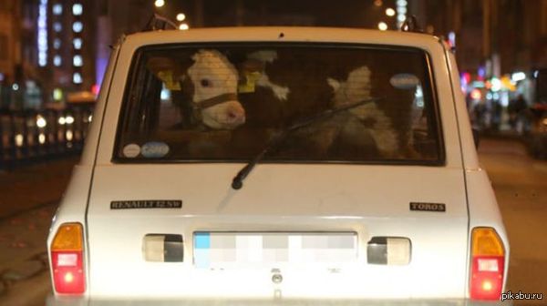 ������� �� ����