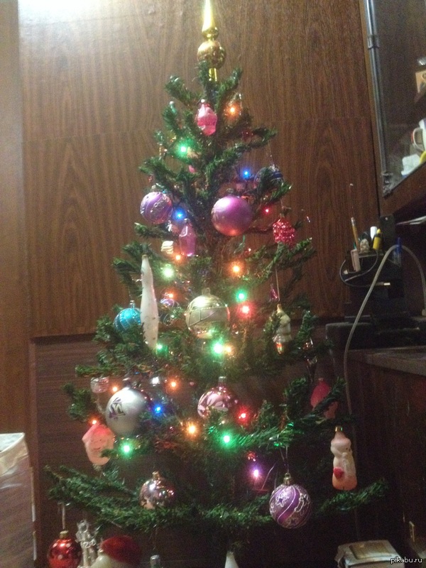 ���� �������