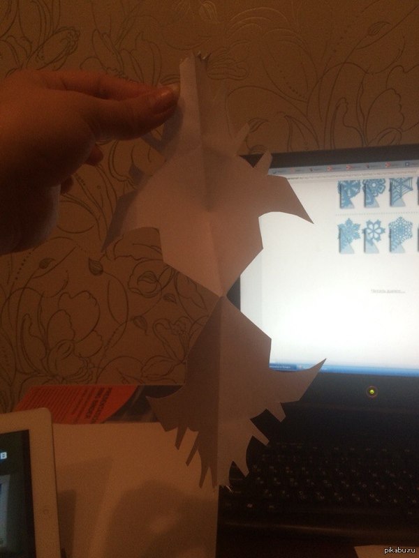 ������ �������, ������ ���� � ������� �� ������� � �������������� �����...