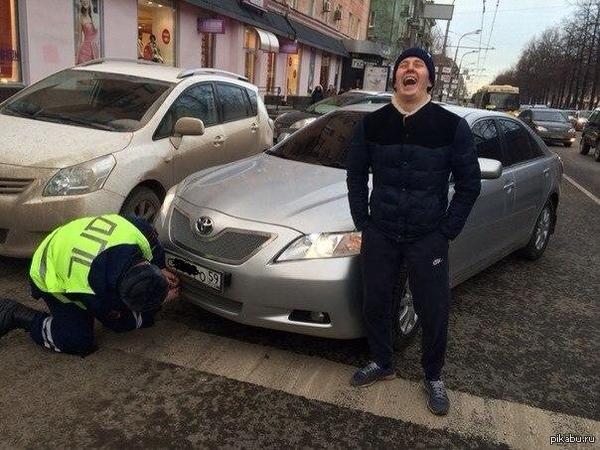 На колени, желтопузик! | Пикабу