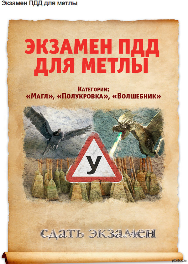 Экзамен ПДД для метлы | Пикабу