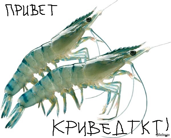 ��������!!