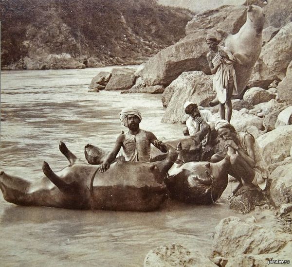 ,  ,    ! , 1900 .    
