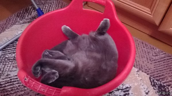 Мне удобно, а если ты не умеешь спать в тазике- твои проблемы