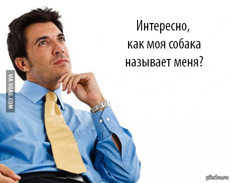 А как тебя называет твоя собака?