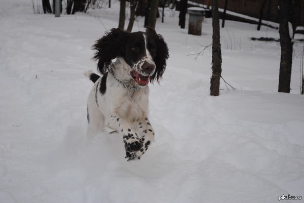 ��� ������� �������� ����� :)