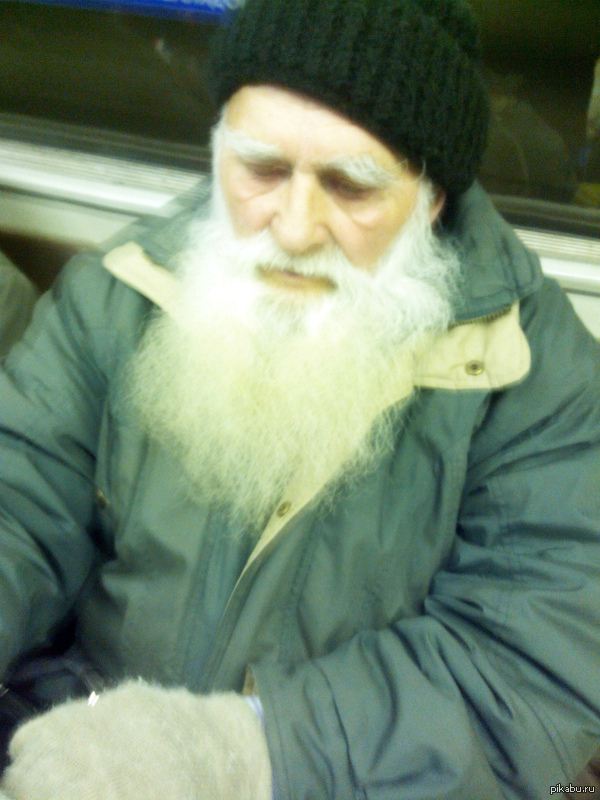 ���� ������