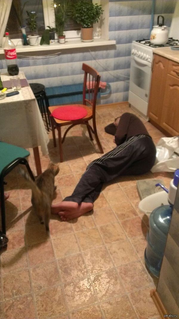 ��������� �������� ����� ����� �����