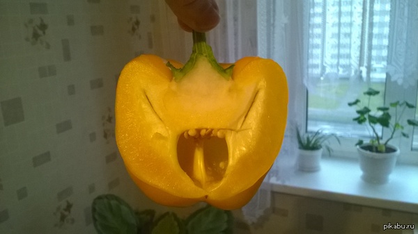 ��������� �����.