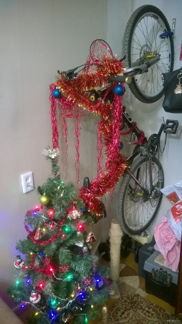 С наступающим Котаны !!!