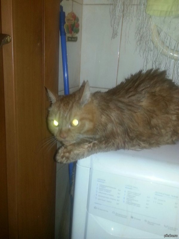 � ����� ����� ����