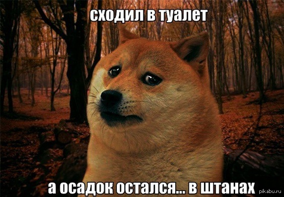 ����� - ����