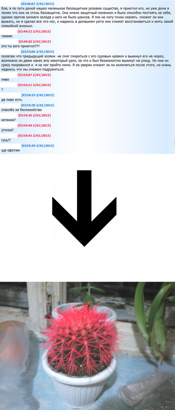 ....