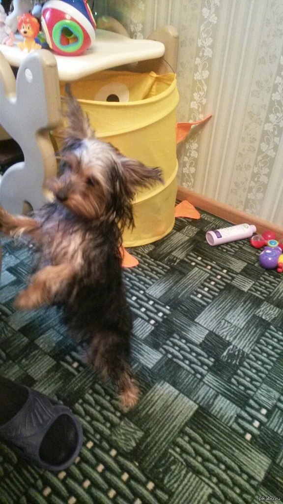 ������,��������-��������,����������� �����,��� 4,������ ����-������� ������ -����(�������)��� ����� ����������,����� �������