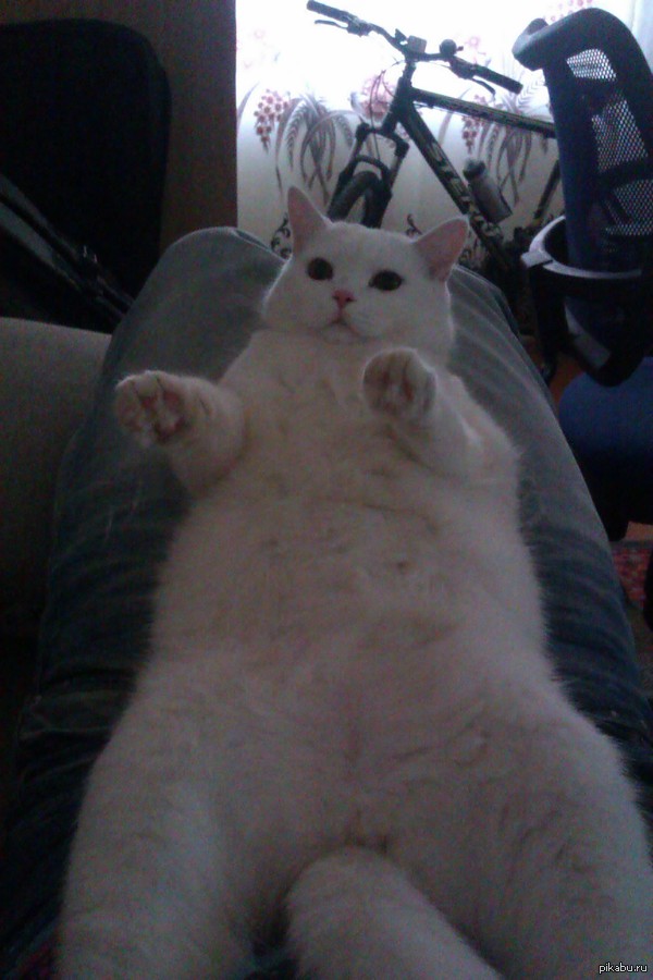 ����-�� ����� ���������� ������� ������. �������� ������ �������!