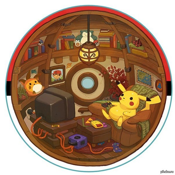 Покебол, вид изнутри