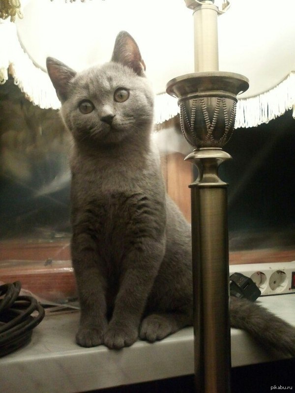 ������ ��� ��� ��������� ��� � ���� �� ������