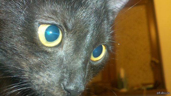 �������, ����� ����� �������...