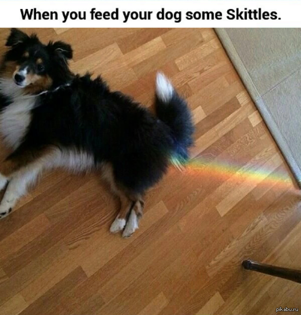     ,   Skittles- 