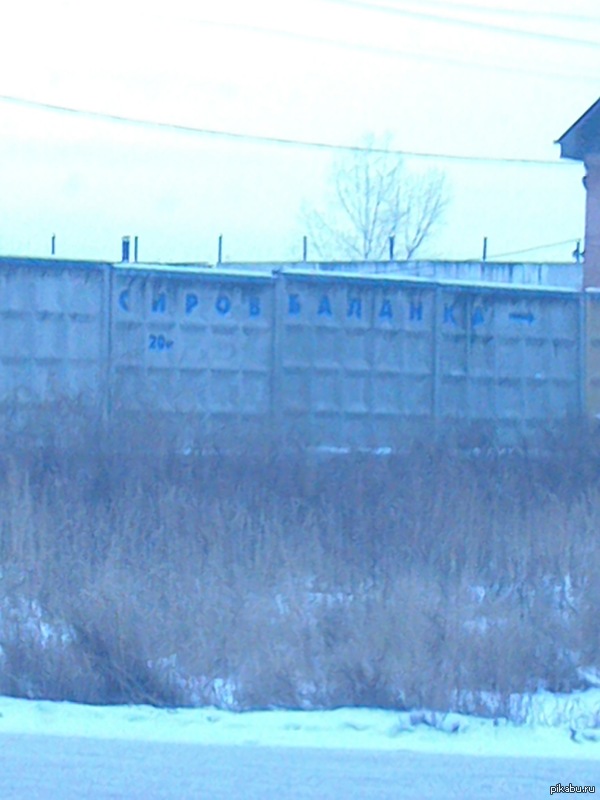 ����� ����������� ����.