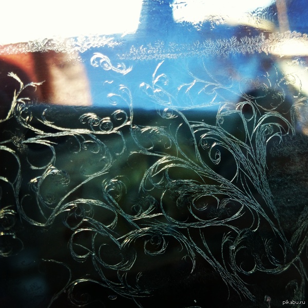 Морозко оставил автограф