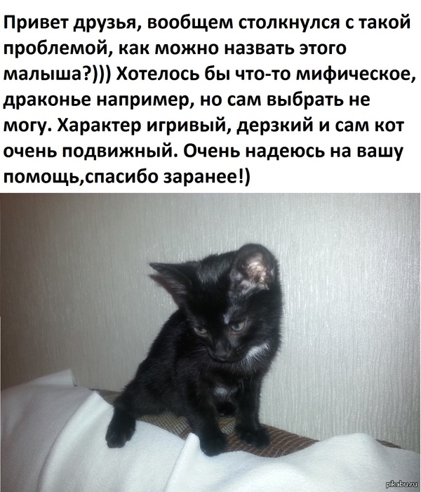 Алдуин?Гвинес?Калессин?