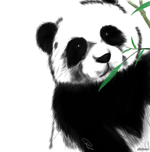 ����� ����� ������������� ����������.