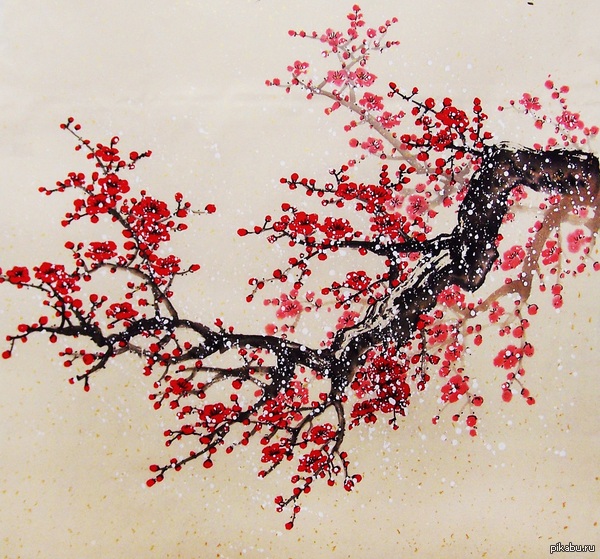 ���� ���� 0_0 (�� ����, �� ��� �� ���������, �� �������!) �����������! � ����������! ������ ��������� �����!