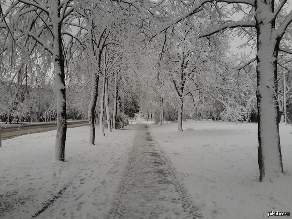 ��������������� �����