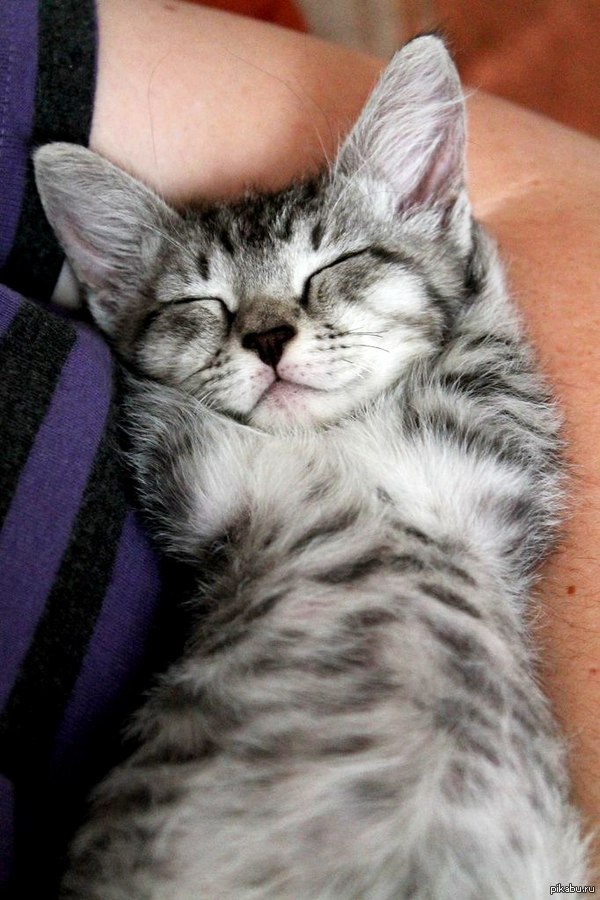 ��� �������� ������)