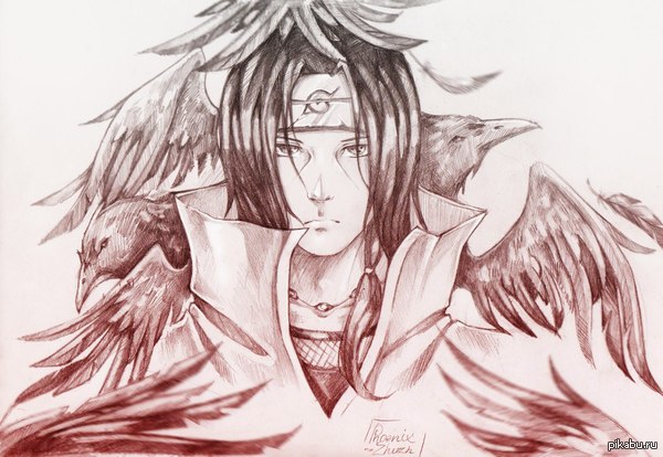 �������� ���