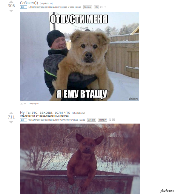 ��� �������,��� ��� ���������� �����?