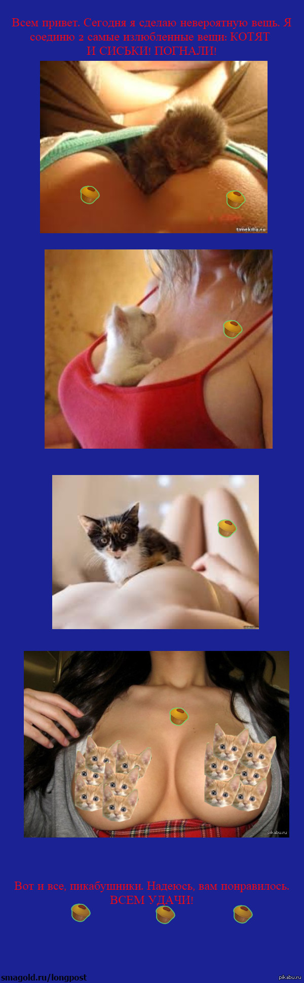 Genious idea! - NSFW, My, cat, Boobs, , League of Leni